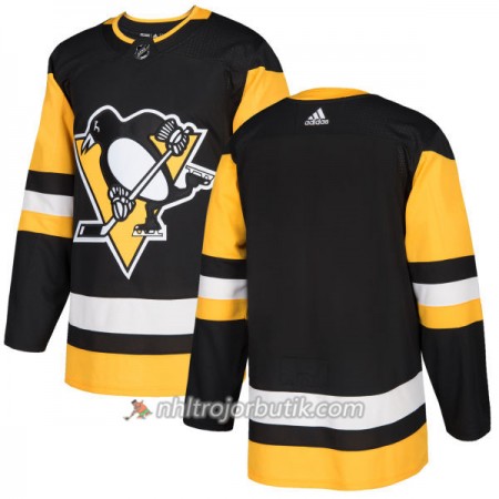 Män Ishockey Pittsburgh Penguins Tröja Blank Adidas 2017-2018 Svart Authentic